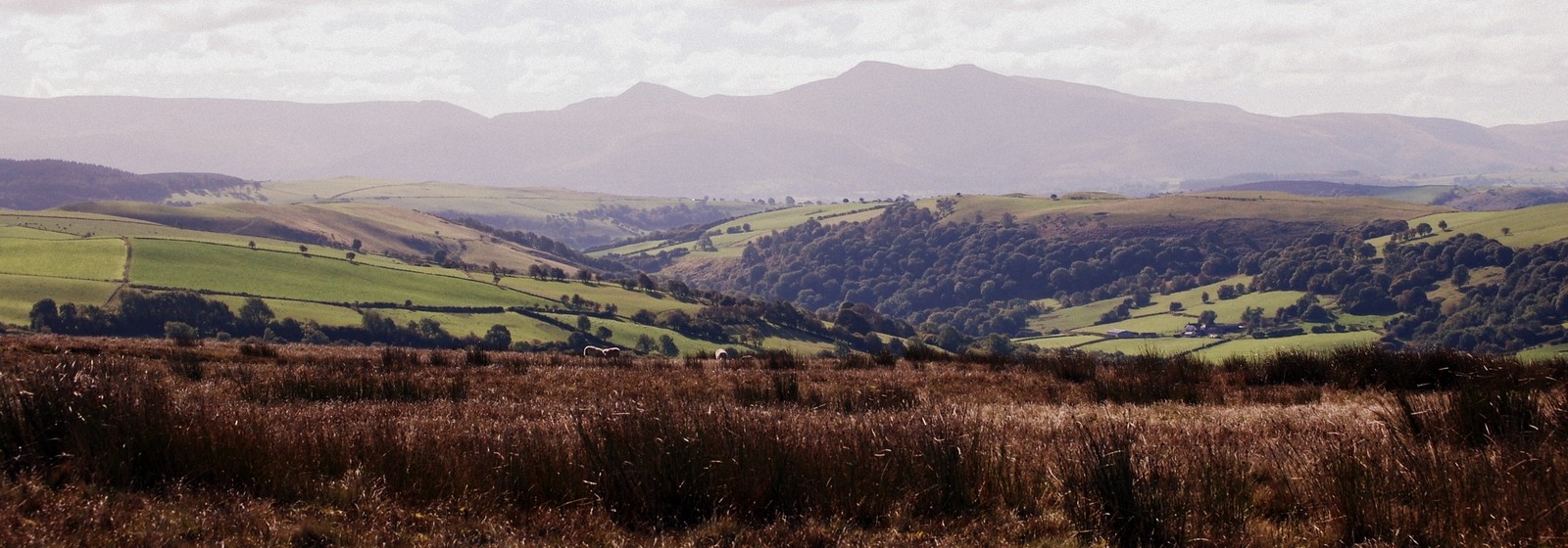 Brecon Beacons and Epynt