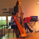 Sioned on the harp